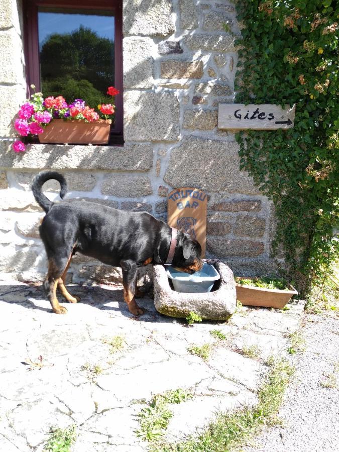 Domaine De Lesvaniel Landudec Eksteriør billede